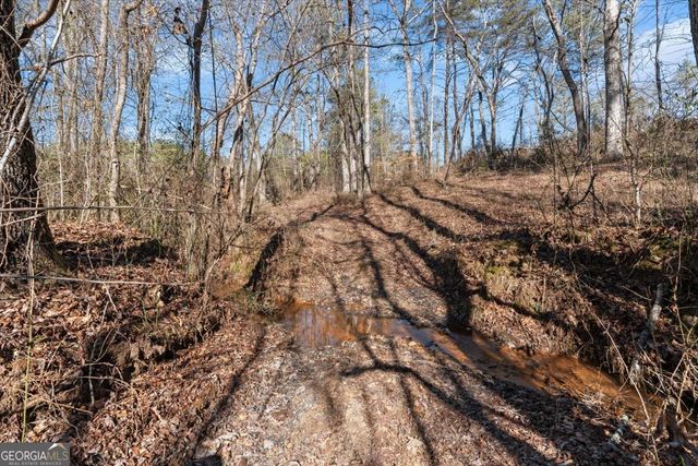 80 Hand Road, Bowdon, GA 30108