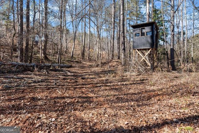 80 Hand Road, Bowdon, GA 30108