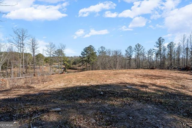 80 Hand Road, Bowdon, GA 30108
