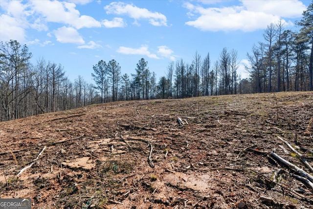 80 Hand Road, Bowdon, GA 30108