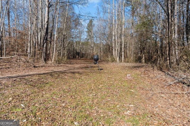 80 Hand Road, Bowdon, GA 30108