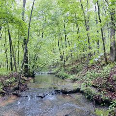 236 Center Ridge Drive, Hohenwald, TN 38462
