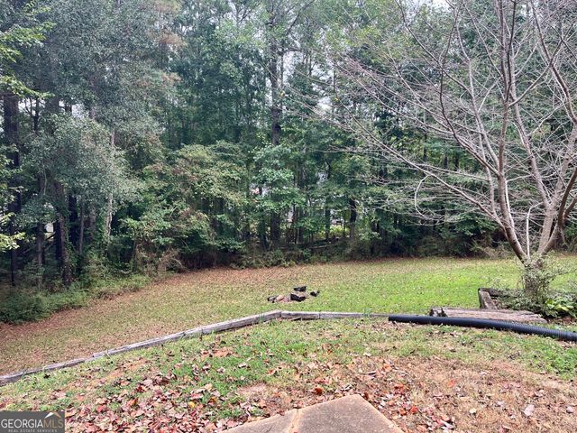 245 Sturgess Run, Sharpsburg, GA 30277