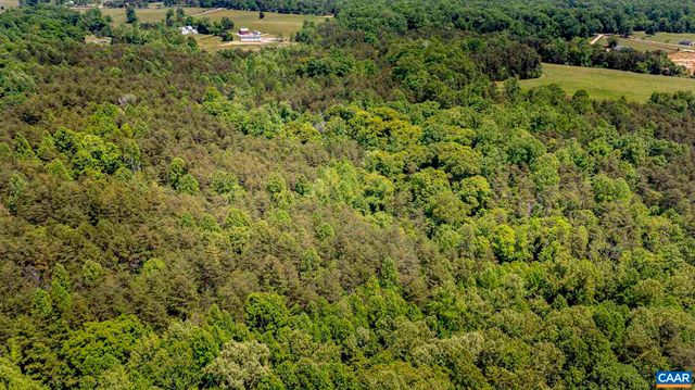 1245 CARPENTERS MILL RD, Ruckersville, VA 22968