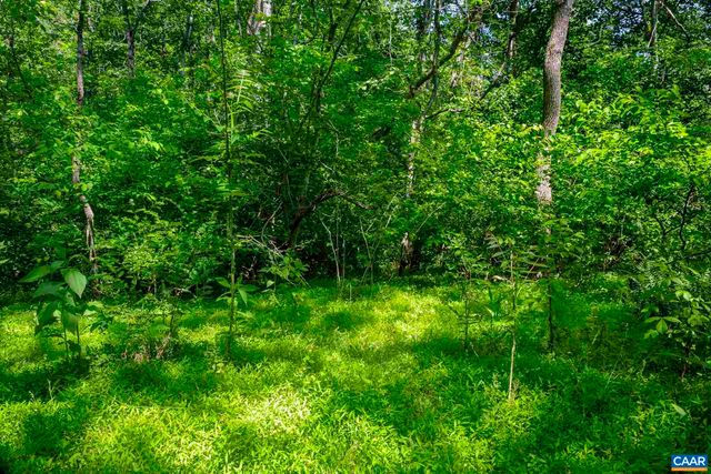 1245 CARPENTERS MILL RD, Ruckersville, VA 22968