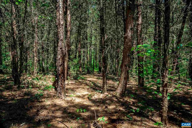 1245 CARPENTERS MILL RD, Ruckersville, VA 22968