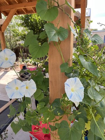 1097 Willow Way, Santa Fe, NM 87507