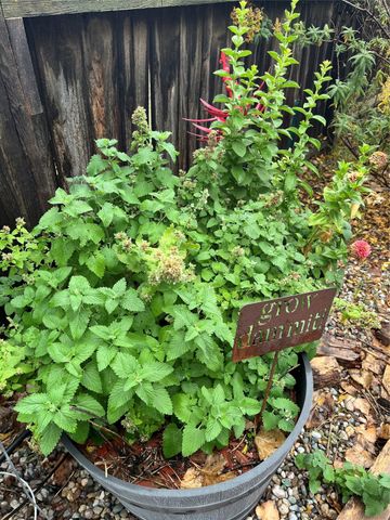 1097 Willow Way, Santa Fe, NM 87507