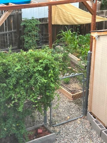 1097 Willow Way, Santa Fe, NM 87507