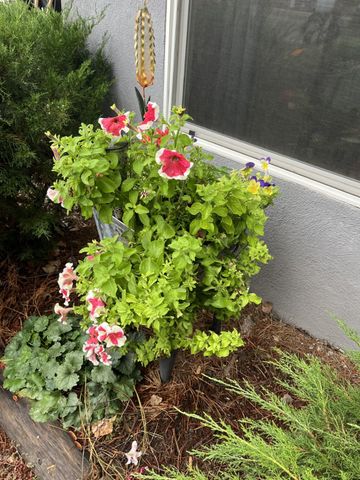 1097 Willow Way, Santa Fe, NM 87507