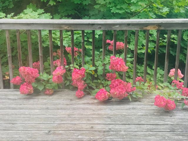 305 Emerald Street, Houghton, MI 49931