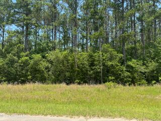 E Edgewood Drive, Saucier, MS 39574