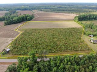 TBD Highway 430, Nichols, SC 29581
