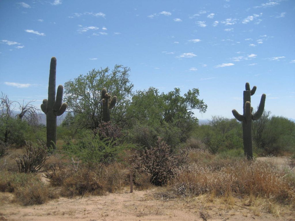 0 N 162nd Street metes and bounds, Scottsdale, AZ 85262 — photo 3