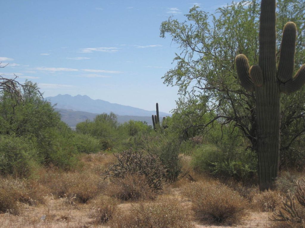 0 N 162nd Street metes and bounds, Scottsdale, AZ 85262 — photo 4