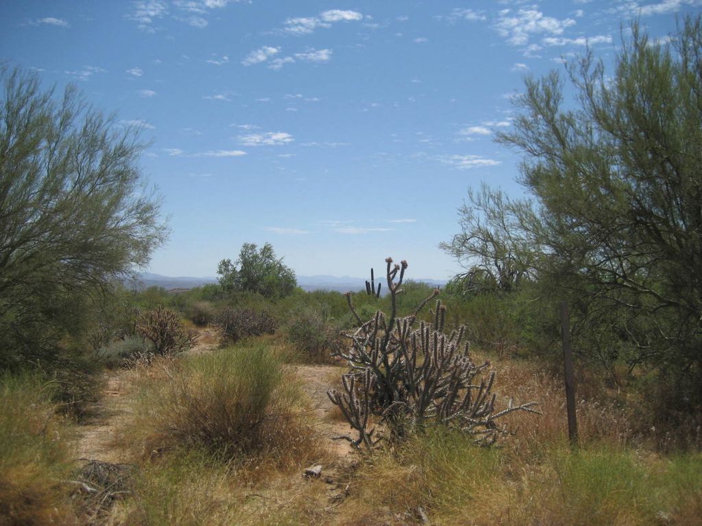 0 N 162nd Street metes and bounds, Scottsdale, AZ 85262 — photo 5