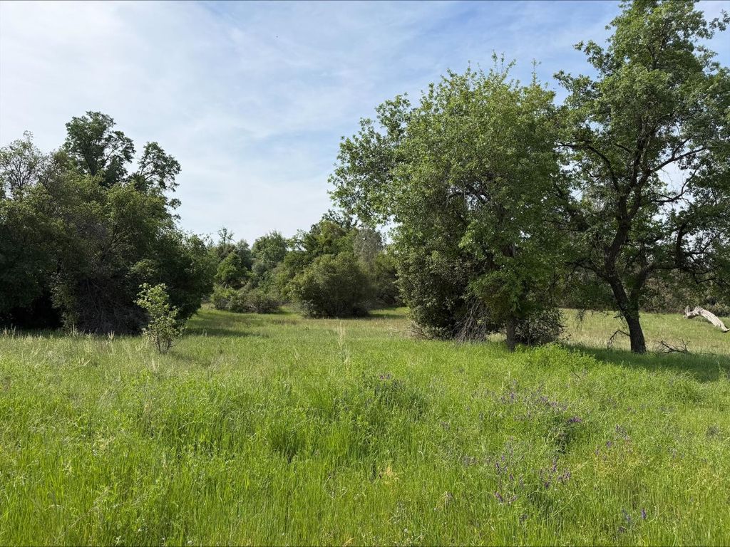 Image 3 of property listing at 5 Mountain Springs Road, North Fork, CA 93634
