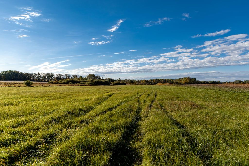 TBD 231st Avenue, Browerville, MN 56438 — exterior