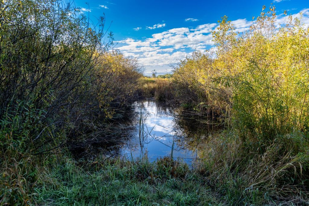 TBD 231st Avenue, Browerville, MN 56438 — photo 4