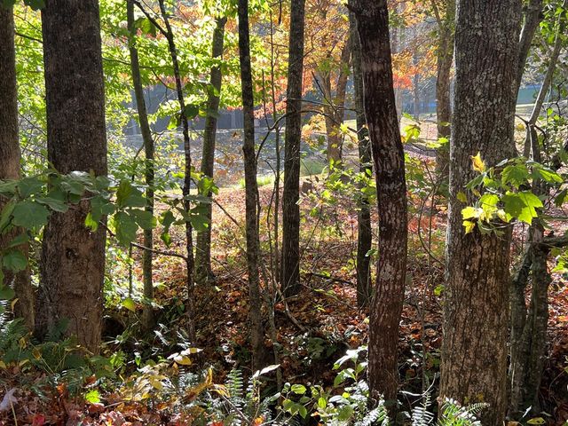 1 Bartin Ridge, Murphy, NC 28906