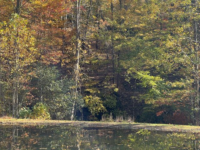 1 Bartin Ridge, Murphy, NC 28906