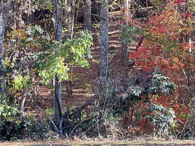 1 Bartin Ridge, Murphy, NC 28906