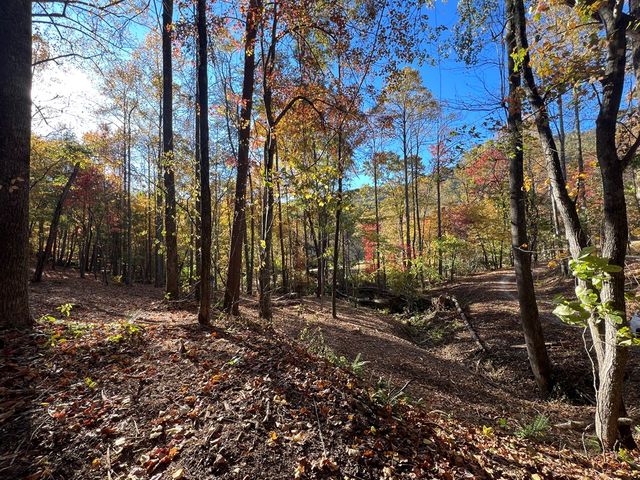 1 Bartin Ridge, Murphy, NC 28906