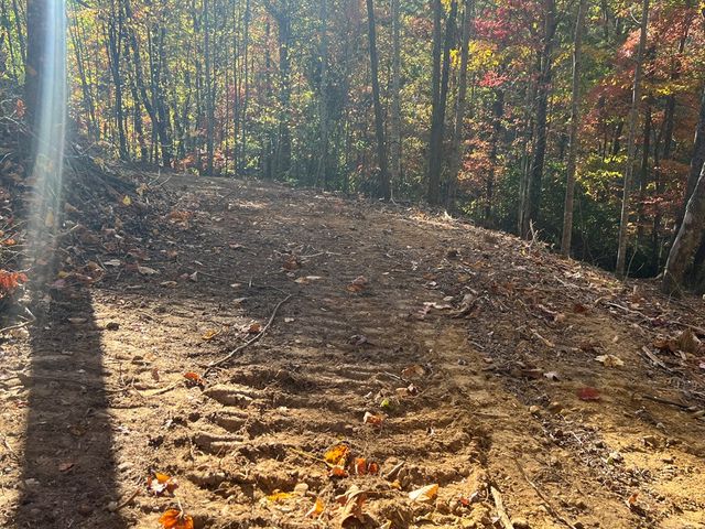 1 Bartin Ridge, Murphy, NC 28906