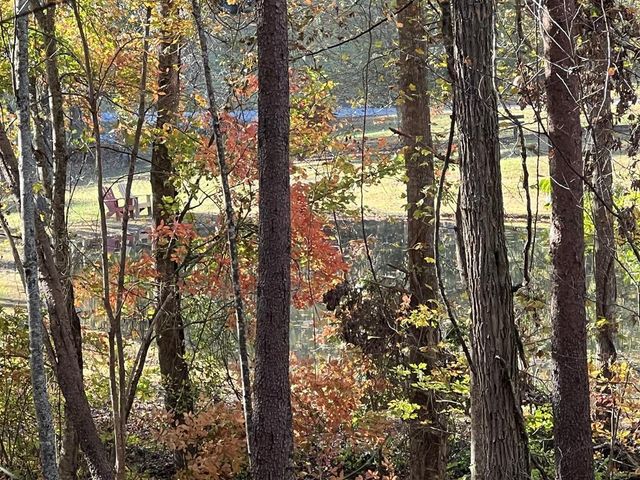 1 Bartin Ridge, Murphy, NC 28906