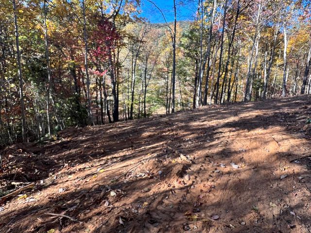 1 Bartin Ridge, Murphy, NC 28906