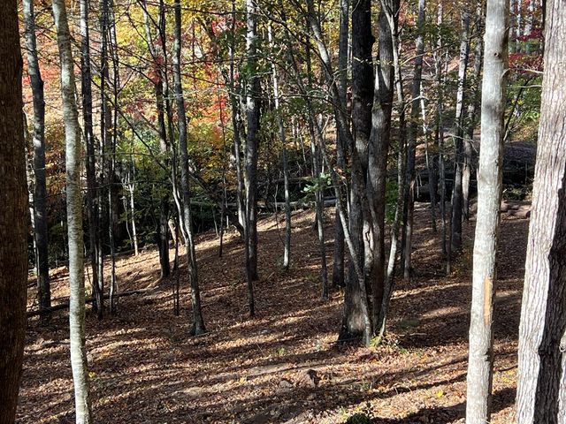 1 Bartin Ridge, Murphy, NC 28906