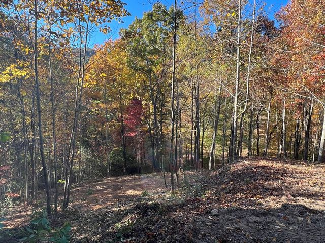 1 Bartin Ridge, Murphy, NC 28906