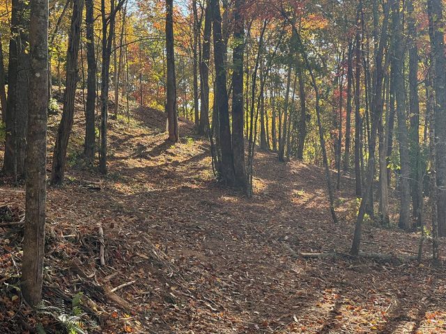 1 Bartin Ridge, Murphy, NC 28906