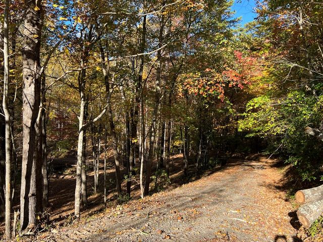 1 Bartin Ridge, Murphy, NC 28906