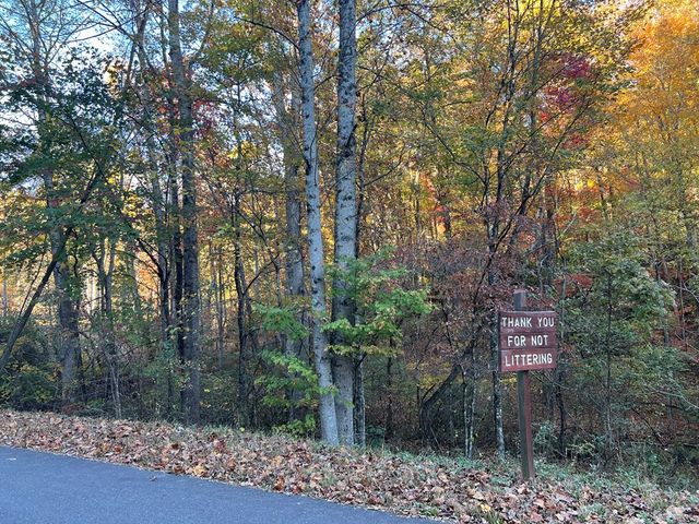 1 Bartin Ridge, Murphy, NC 28906