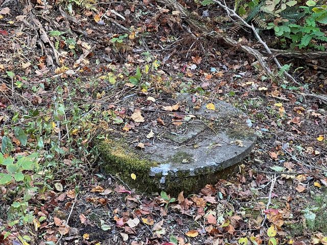 1 Bartin Ridge, Murphy, NC 28906