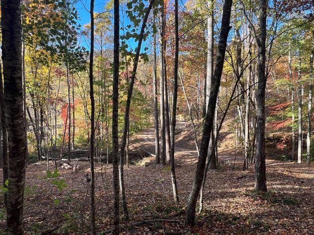 1 Bartin Ridge, Murphy, NC 28906