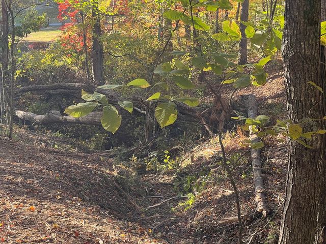 1 Bartin Ridge, Murphy, NC 28906