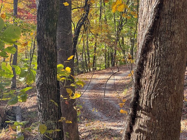 1 Bartin Ridge, Murphy, NC 28906