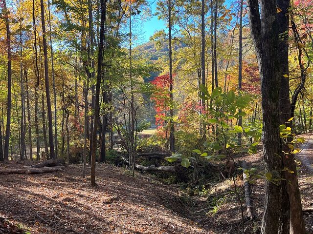 1 Bartin Ridge, Murphy, NC 28906