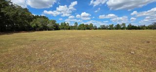 5.8 Acres Nobles Rd Lot 1, Cottonwood, AL 36320