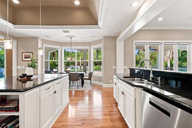 17204 JOURNEYS END DRIVE, Odessa, FL 33556