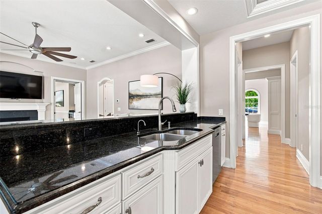 17204 JOURNEYS END DRIVE, Odessa, FL 33556