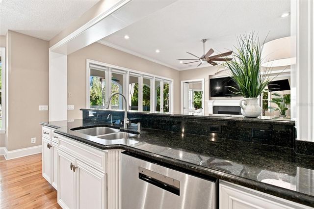 17204 JOURNEYS END DRIVE, Odessa, FL 33556