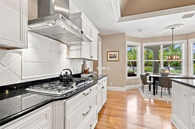 17204 JOURNEYS END DRIVE, Odessa, FL 33556