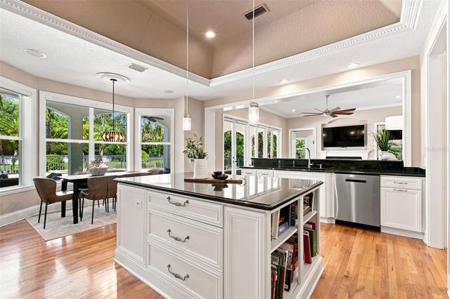 17204 JOURNEYS END DRIVE, Odessa, FL 33556