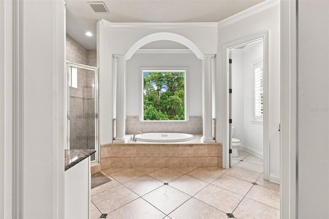 17204 JOURNEYS END DRIVE, Odessa, FL 33556