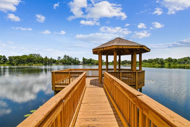 17204 JOURNEYS END DRIVE, Odessa, FL 33556