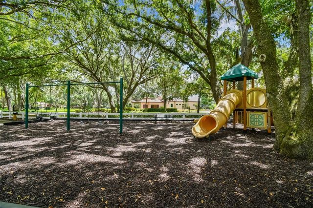 17204 JOURNEYS END DRIVE, Odessa, FL 33556