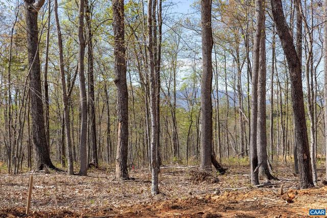 102 TIERNEY LN, Ruckersville, VA 22968